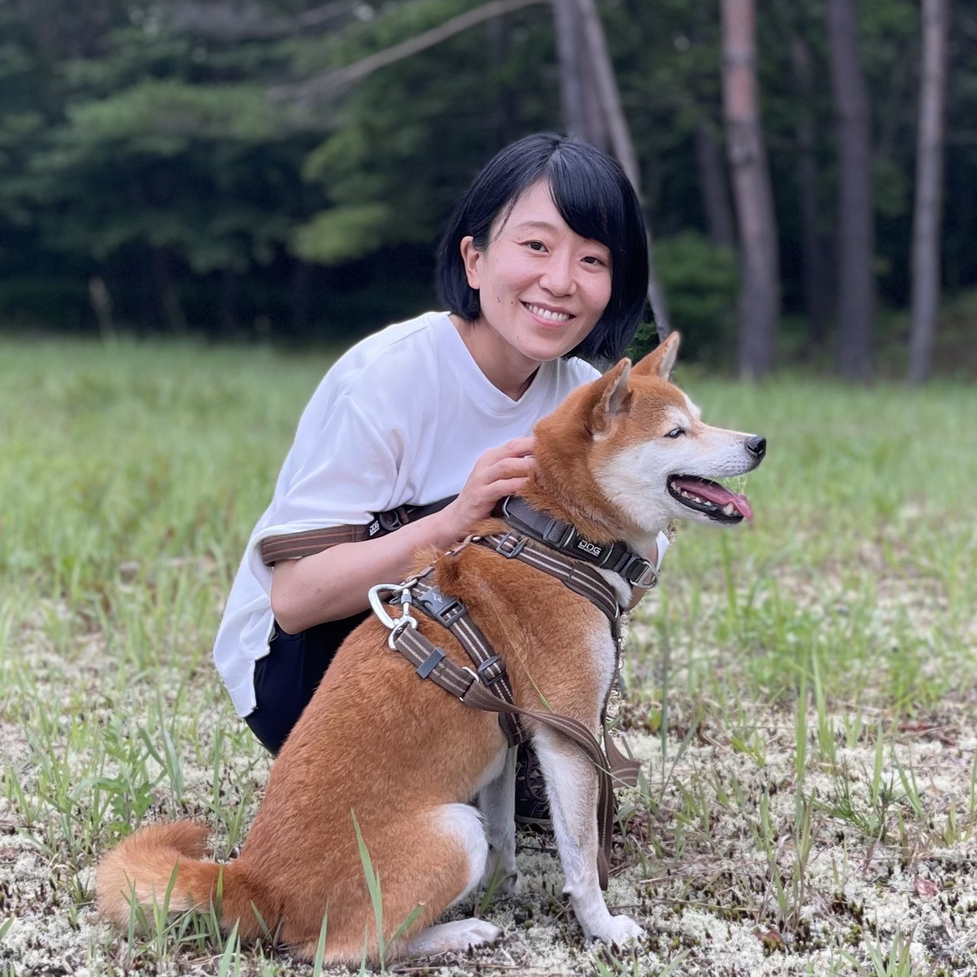 こまつばらトレーナー